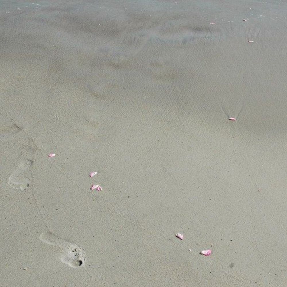 Meet your Posher, Elle